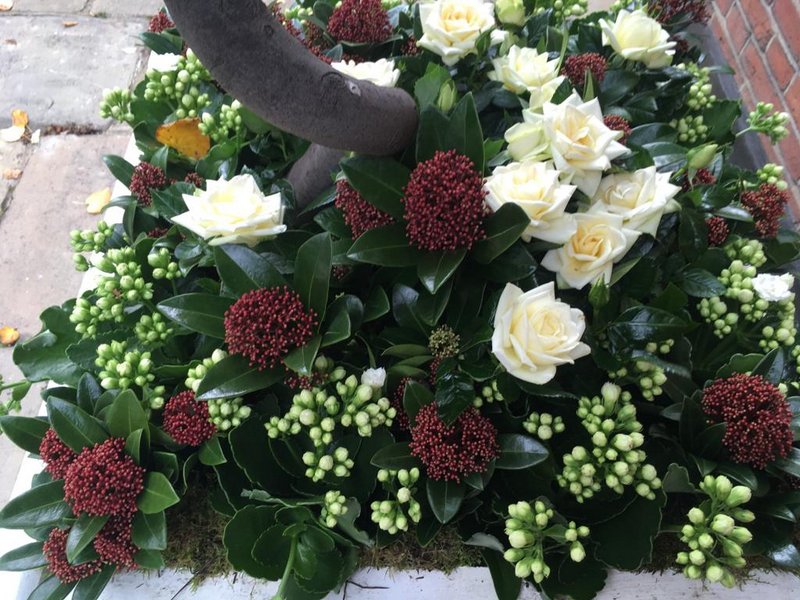 Window Box Subscription | Landscaper in Central London and Knightsbridge gallery image 10
