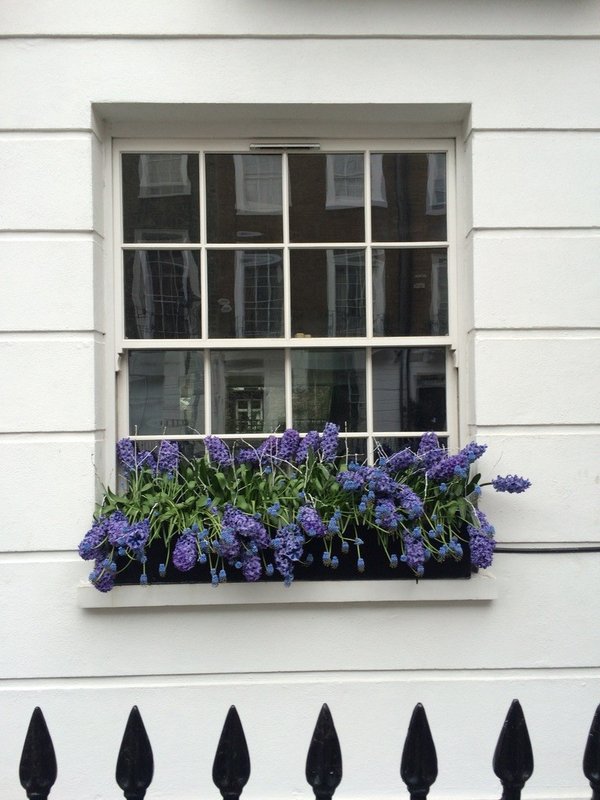 Window Box Gardening in London | URBAN ROOTS LANDSCAPING  gallery image 10
