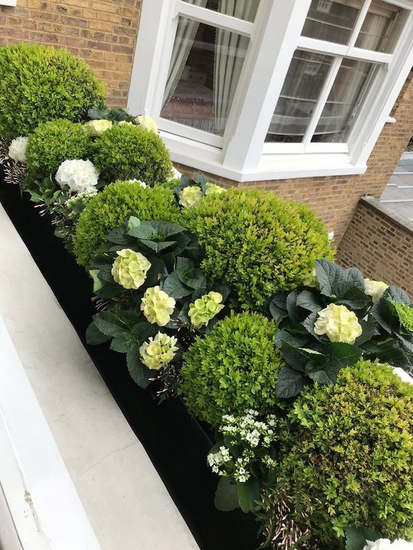 Window Box Gardening in London | URBAN ROOTS LANDSCAPING  gallery image 7
